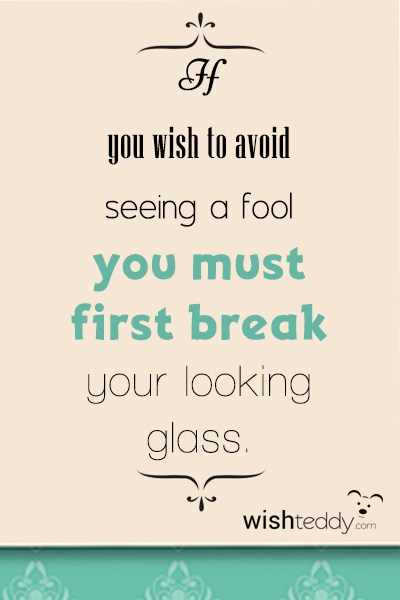 You wish to avoid seeing a fool you must first break your looking glass