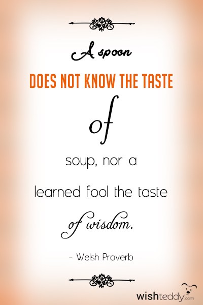 A spoon does not know the taste of soup nor a learned fool the taste