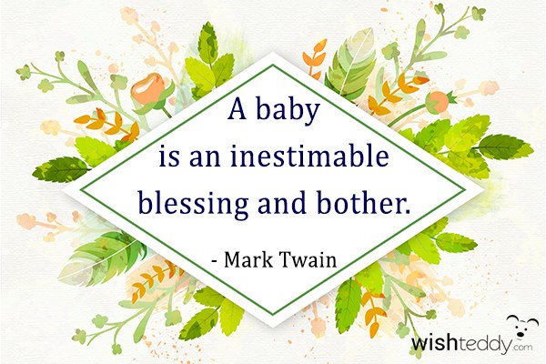 A baby is an inestimable blessing and bother