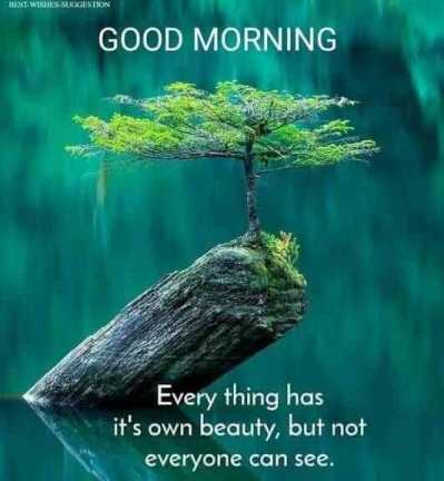 Everything has its own beauty but..Good morning wise wish