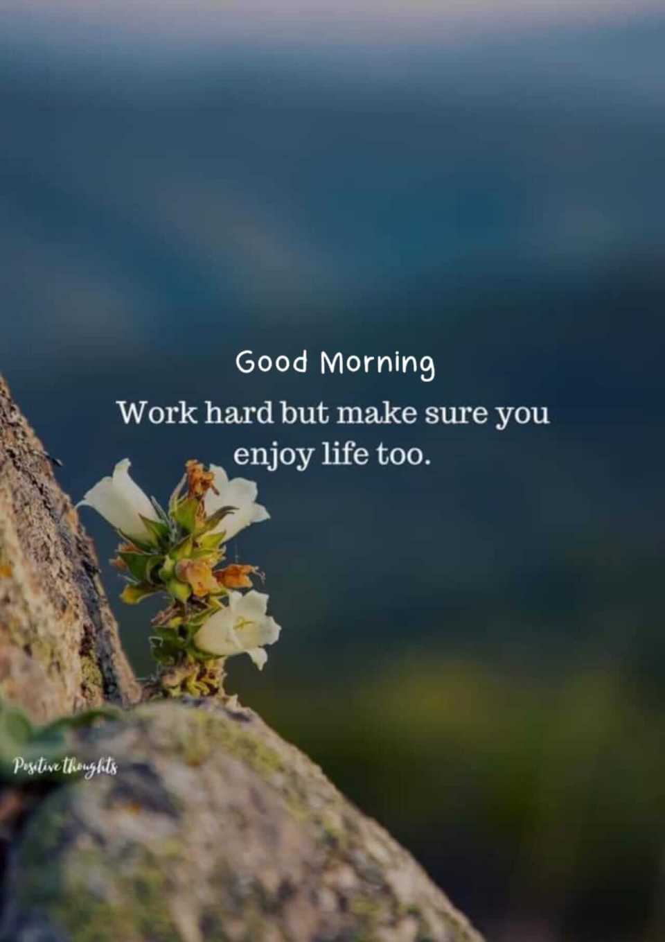 Work hard but make sure you enjoy life too, Good morning best wish