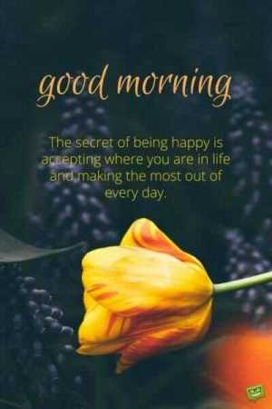 The secret of being happy is…Good morning best wish