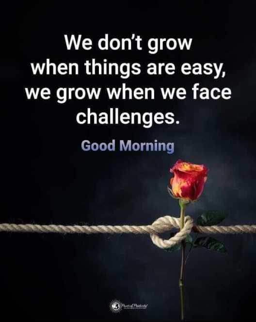 We grow when we face challenges. good morning wise wish
