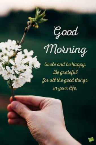 Be grateful for all the things in your life. good morning wise wish