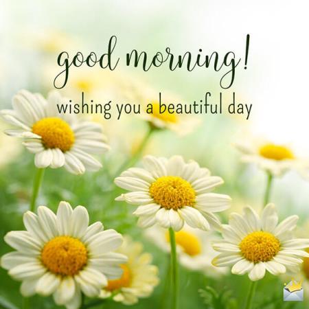 Good morning. Wishing a beautiful day